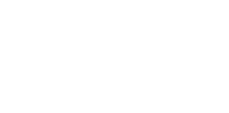 Amil_2_1x
